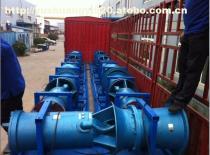 天津中藍(lán)泵業(yè)QH系列防洪排澇潛水泵 專(zhuān)業(yè)設(shè)備，高效排澇